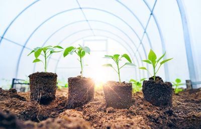 Installing Windows in Moderate Weather